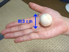 �ҤΤ��̡���������3cm