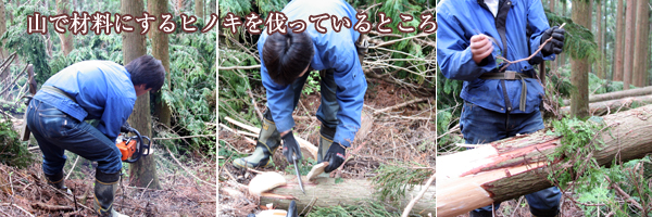 間伐材マーク